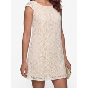 Velvet Torch Cream Lace A-Line Dress